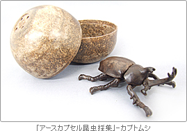 「アースカプセル昆虫採集」-カブトムシ