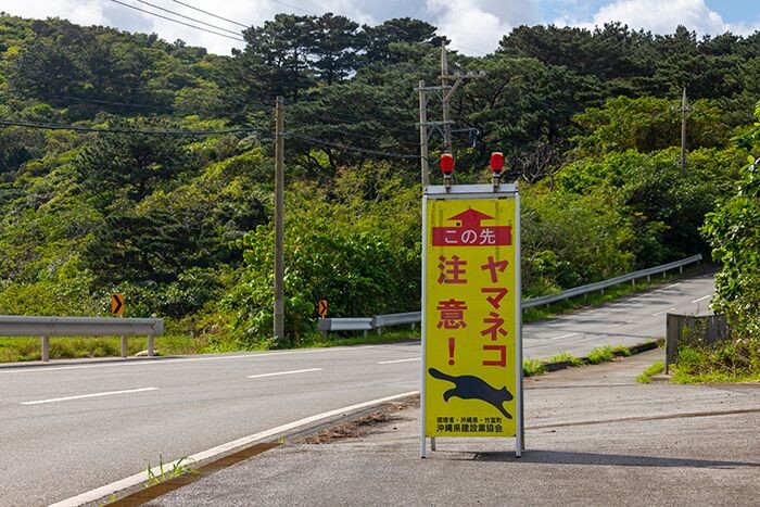 イリオモテヤマネコのロードキルを防止するための各所の看板　写真