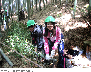 「たけのこの里 竹林再生事業」の様子