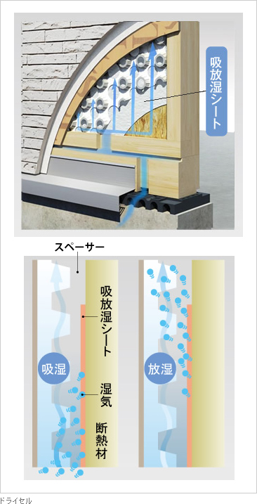ドライセル