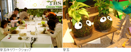 苔玉作りワークショップ&苔玉