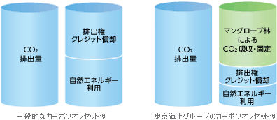 東京海上グループのカーボンオフセット例