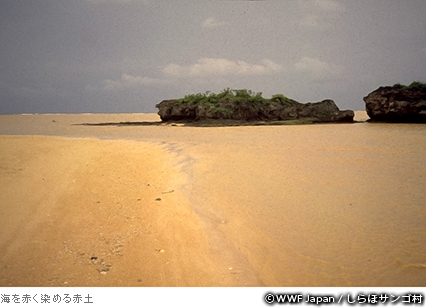 海を赤く染める赤土