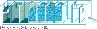 「ヤクルト A&G水浄化システム」の構造