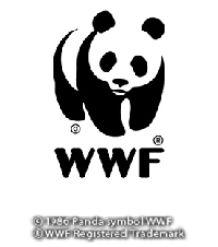 37_wwf_grph_01